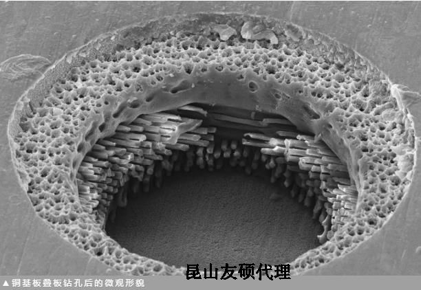 保定蔡司保定扫描电镜